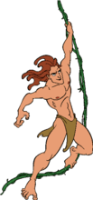 Tarzan Swinging